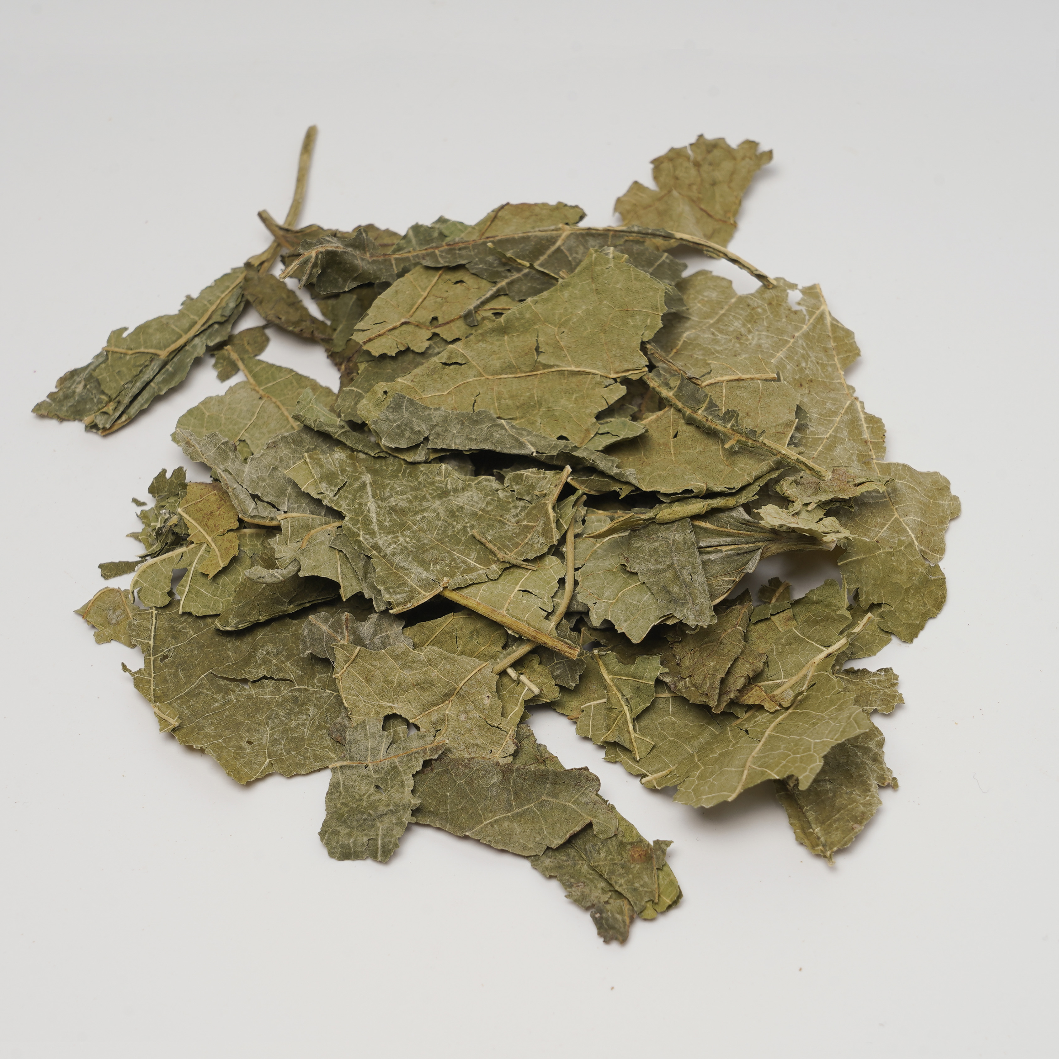 Folium Mori