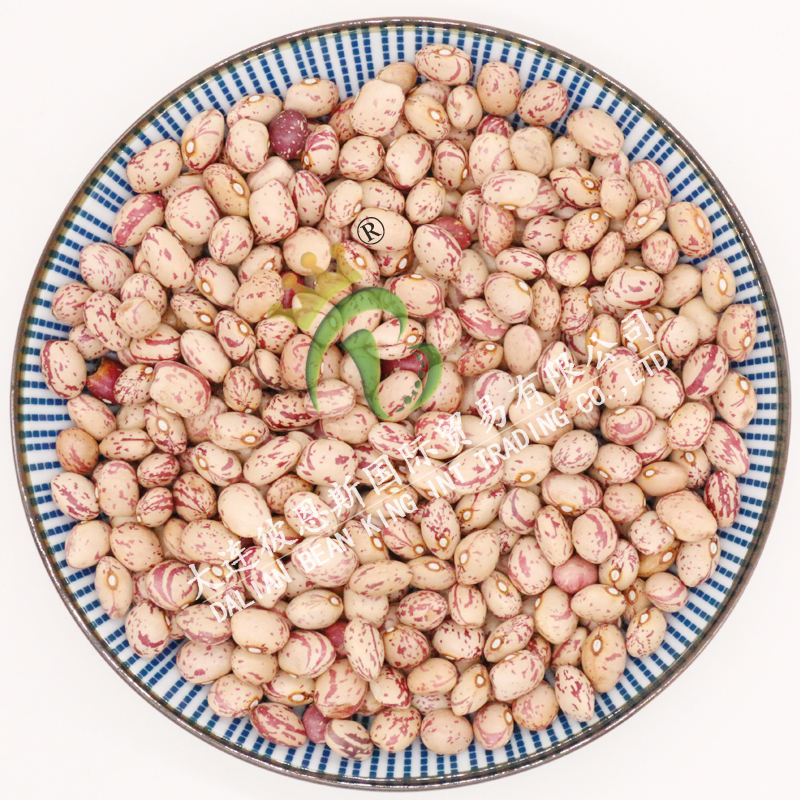 Light Speckled Kidneybeans-Xinjiang Round Shape Oval Shape