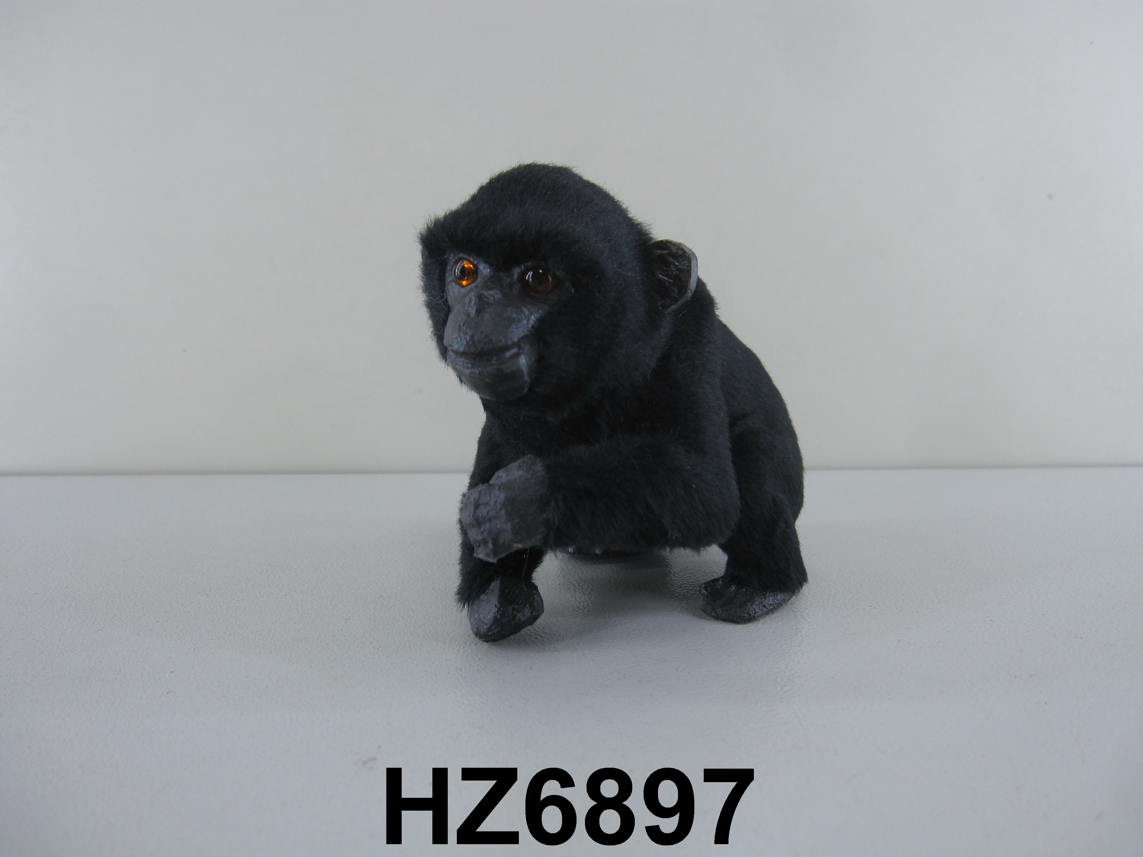 chimpanzee