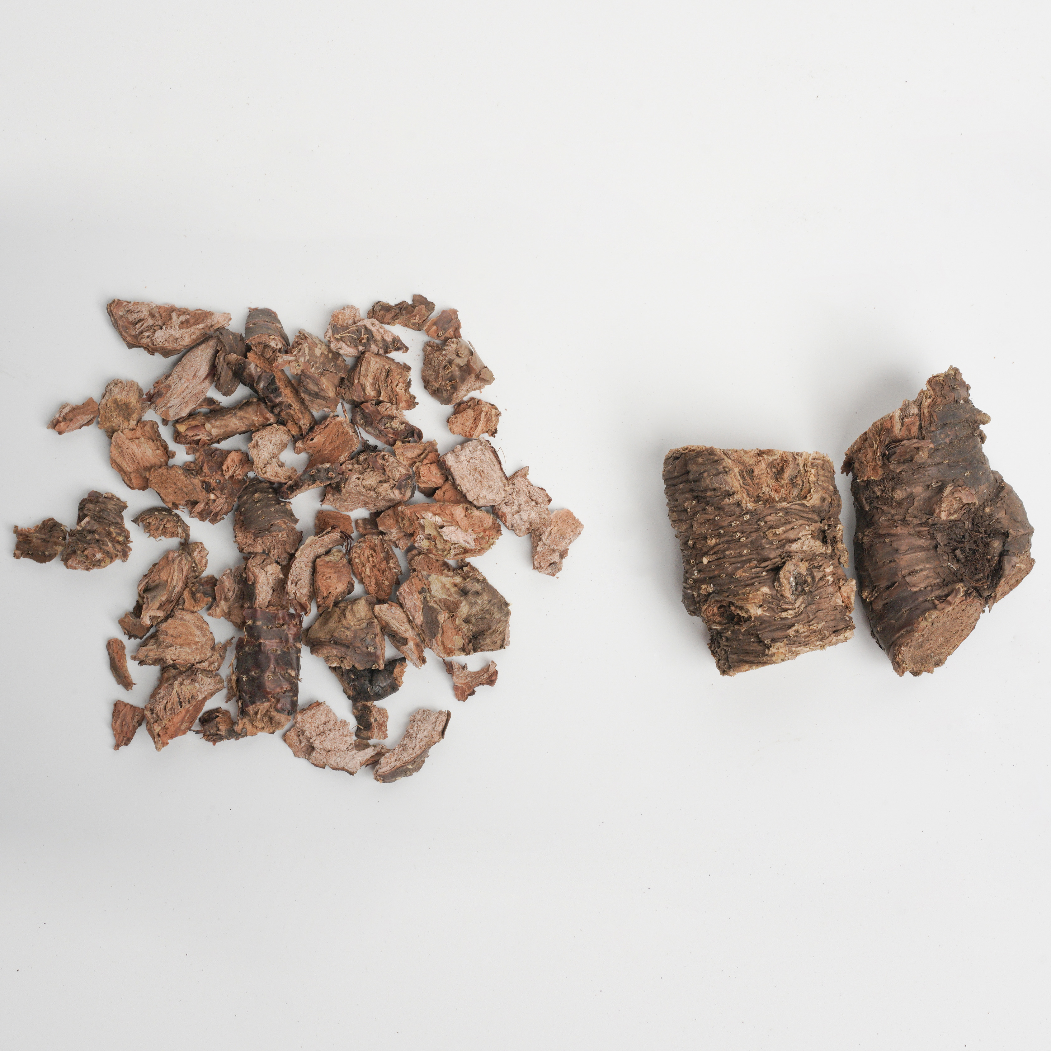 Radix et Rhizoma Rhodiolae Crenulatae/ Rhodiolae Crenulata (Hook.f. et Thoms.) H.Ohba/