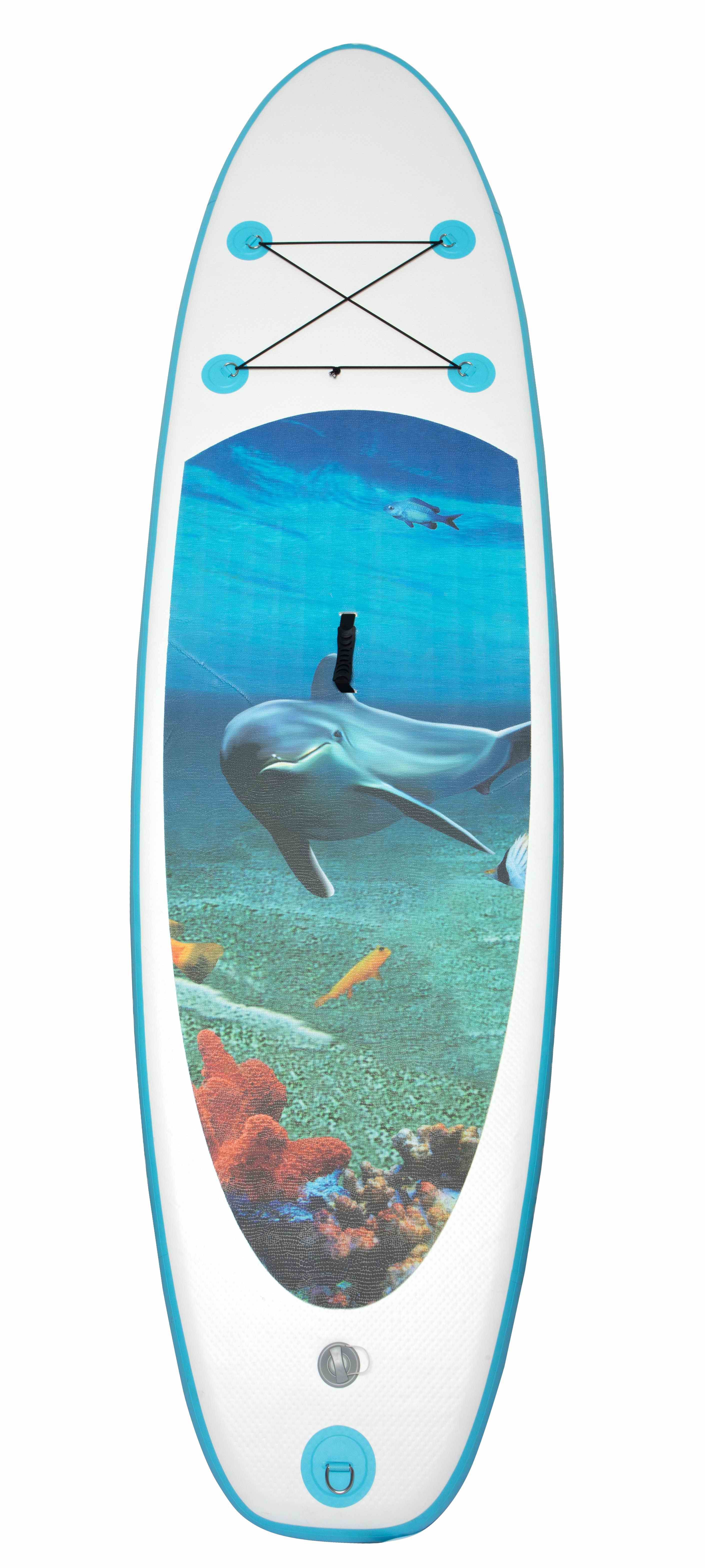 stand up paddle board