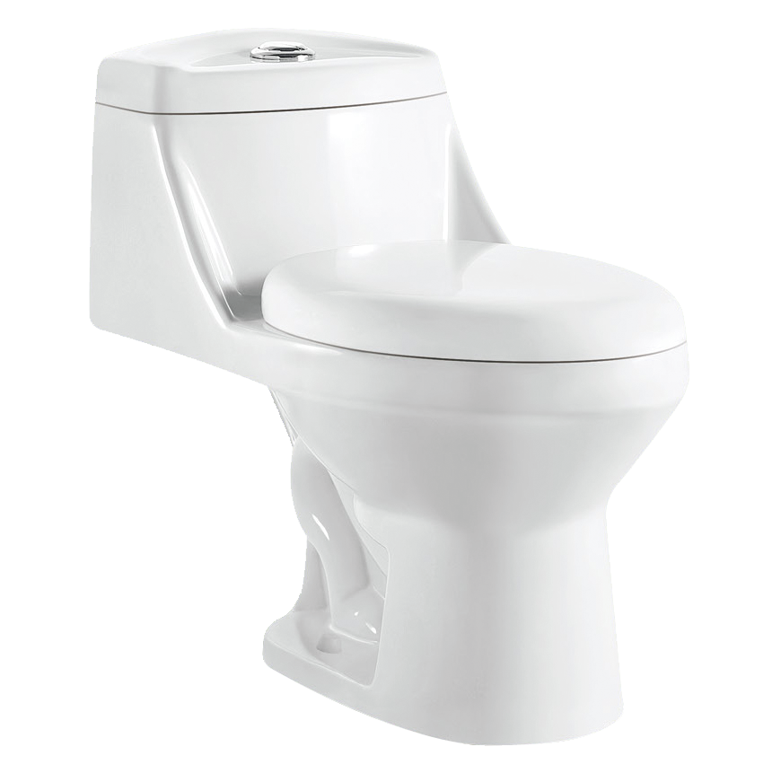 Washdown One piece toilet