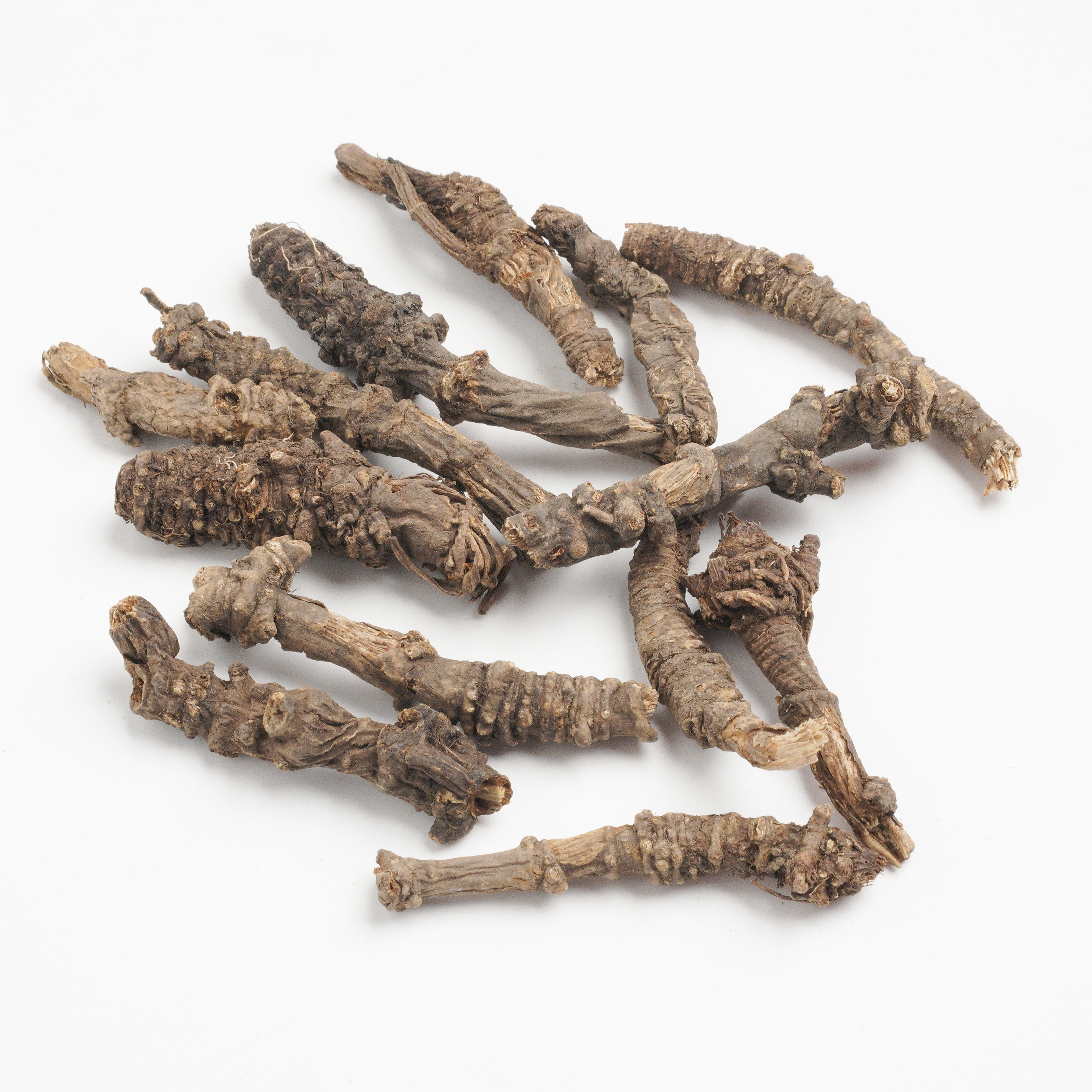 Rhizoma et Radix Notopterygii