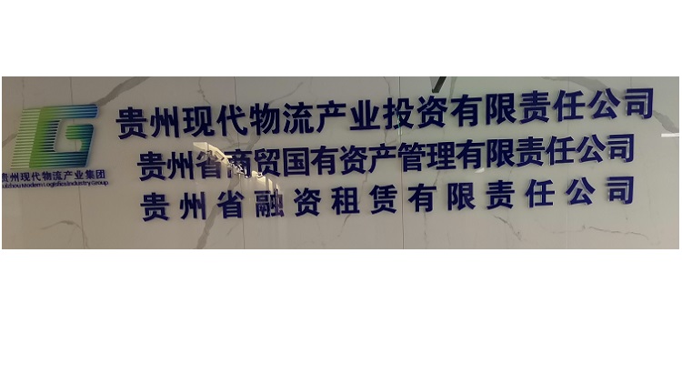 Guizhou Province Commerce and Trade State-owned Assets Management Co., Ltd. – subwoofers 2