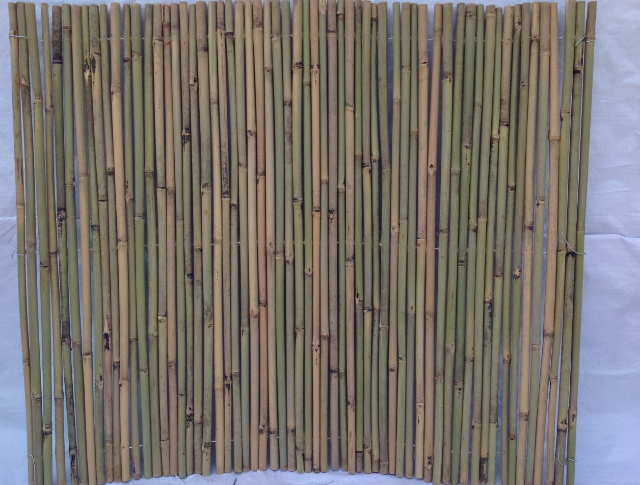 Natural fence