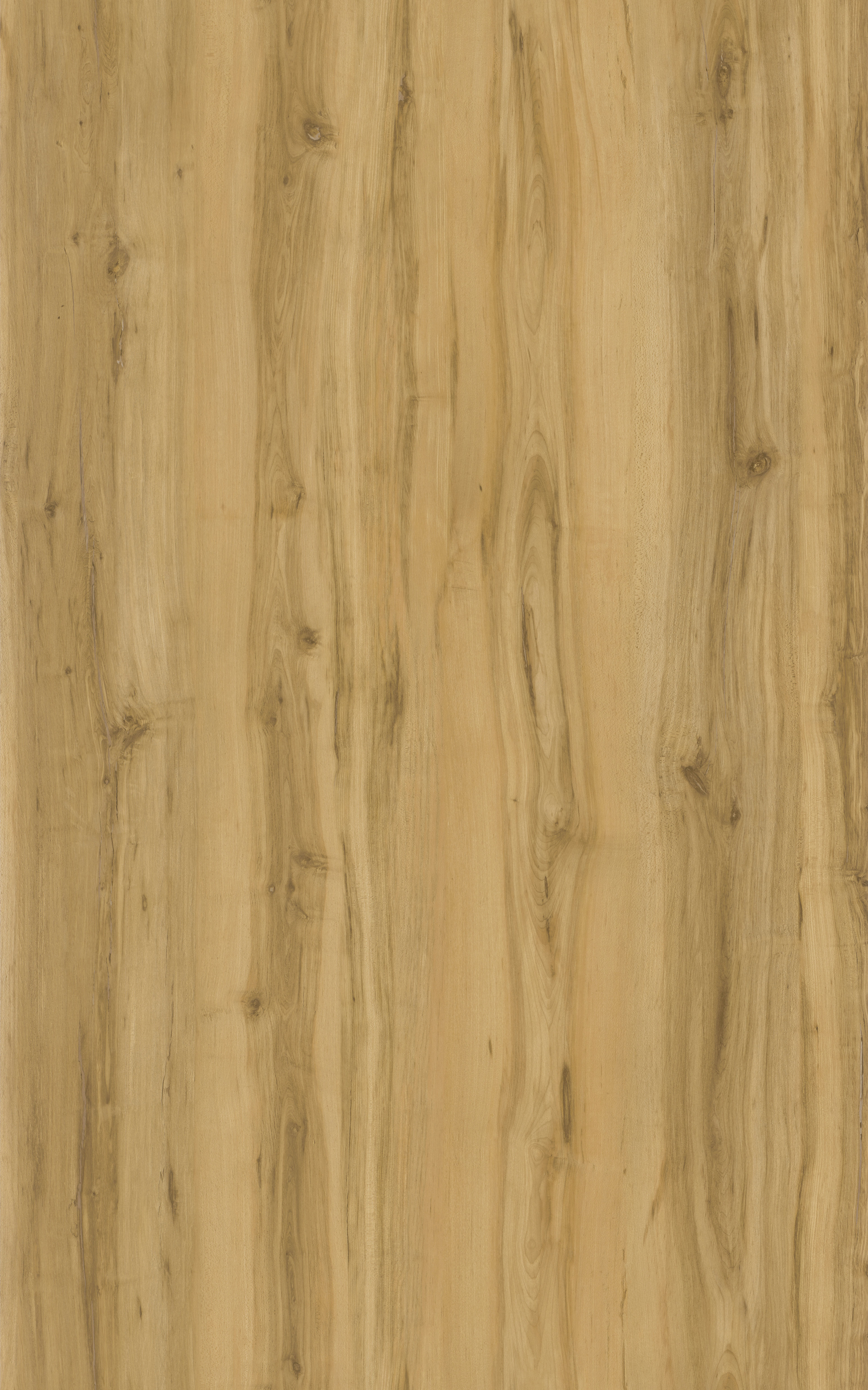 SPC click / Dry back flooring, wall panel