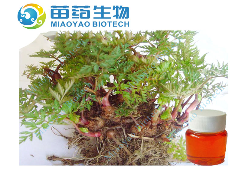 Chuanxiong Oil