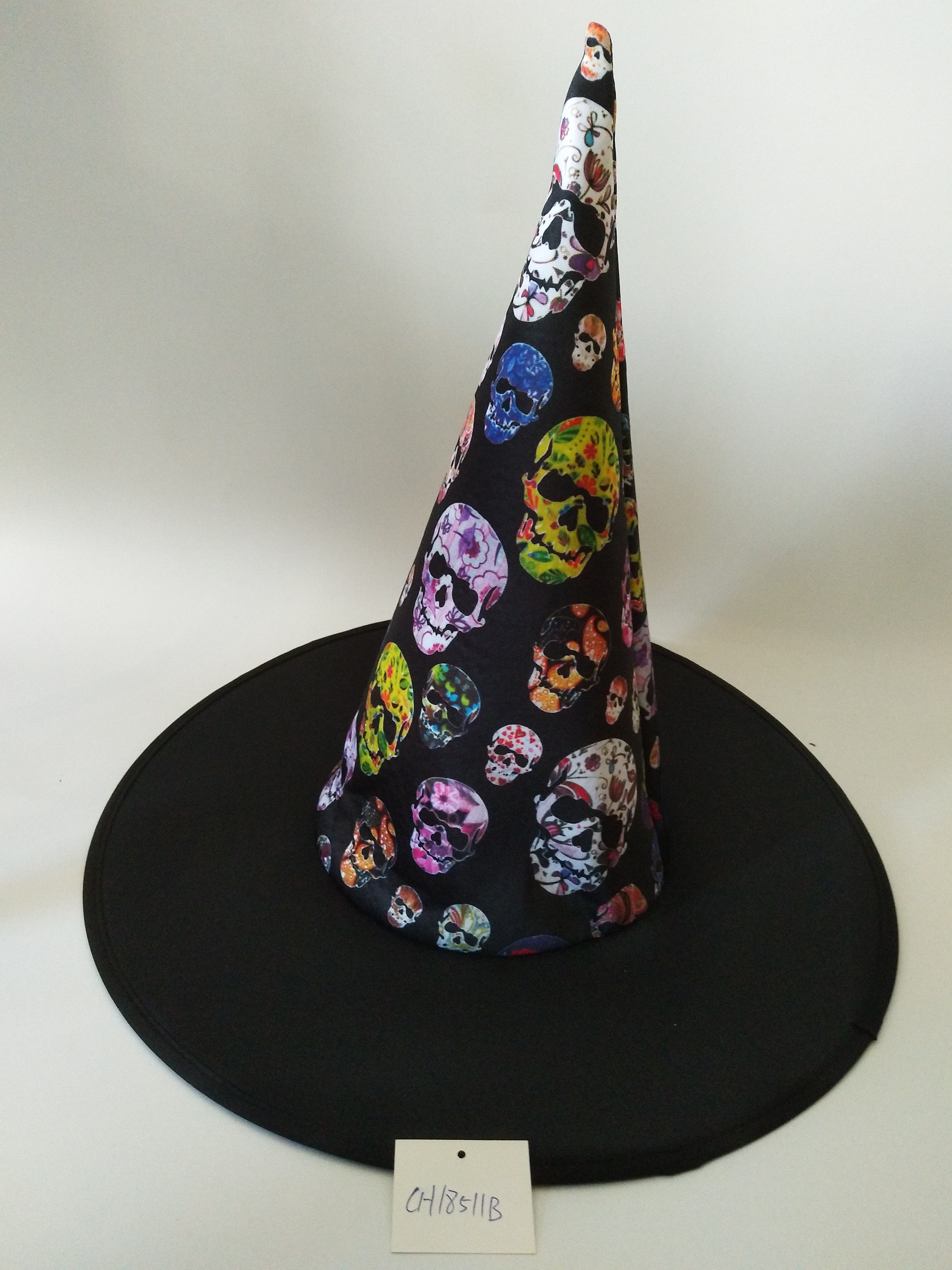 Halloween Witch Hat