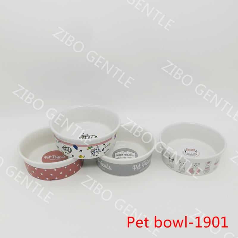 Pet Bowl