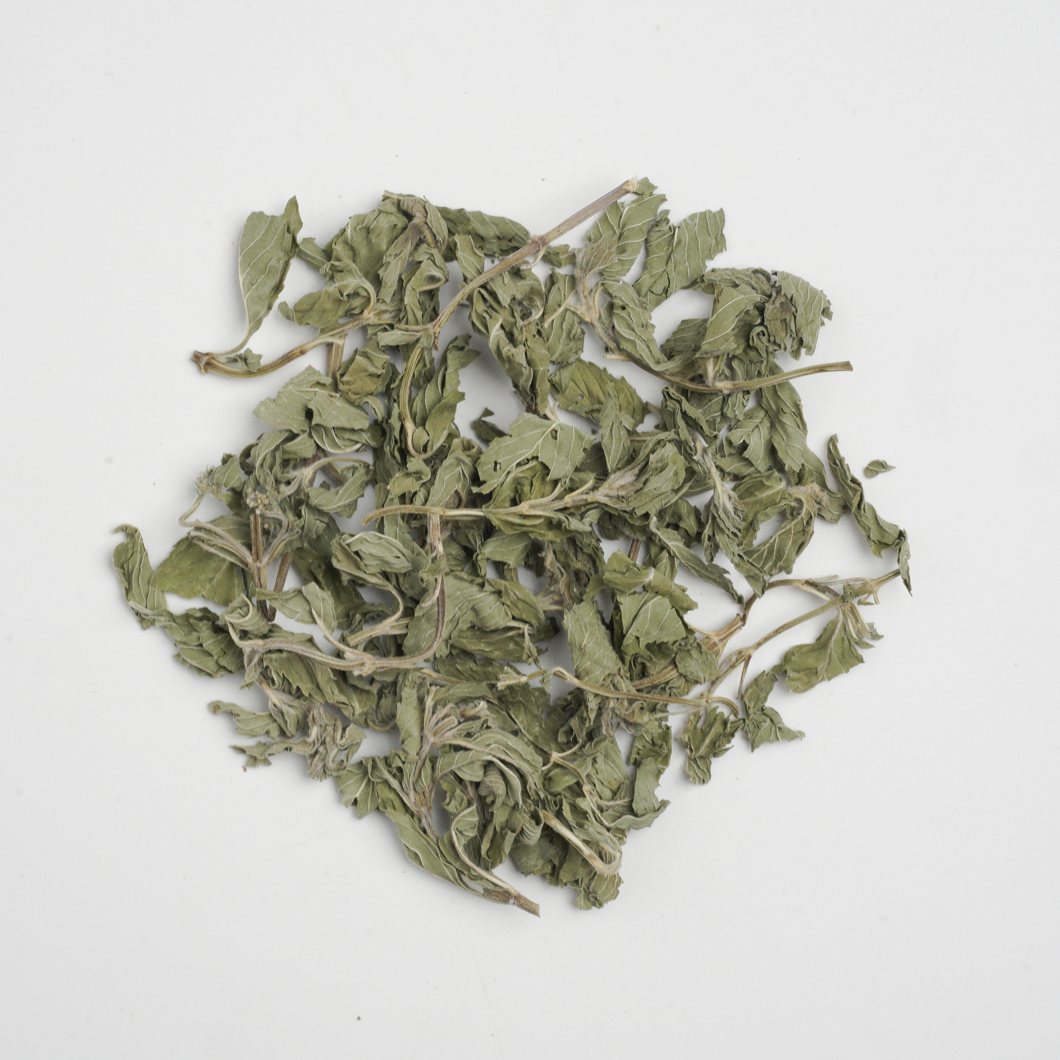 Herba Menthae
