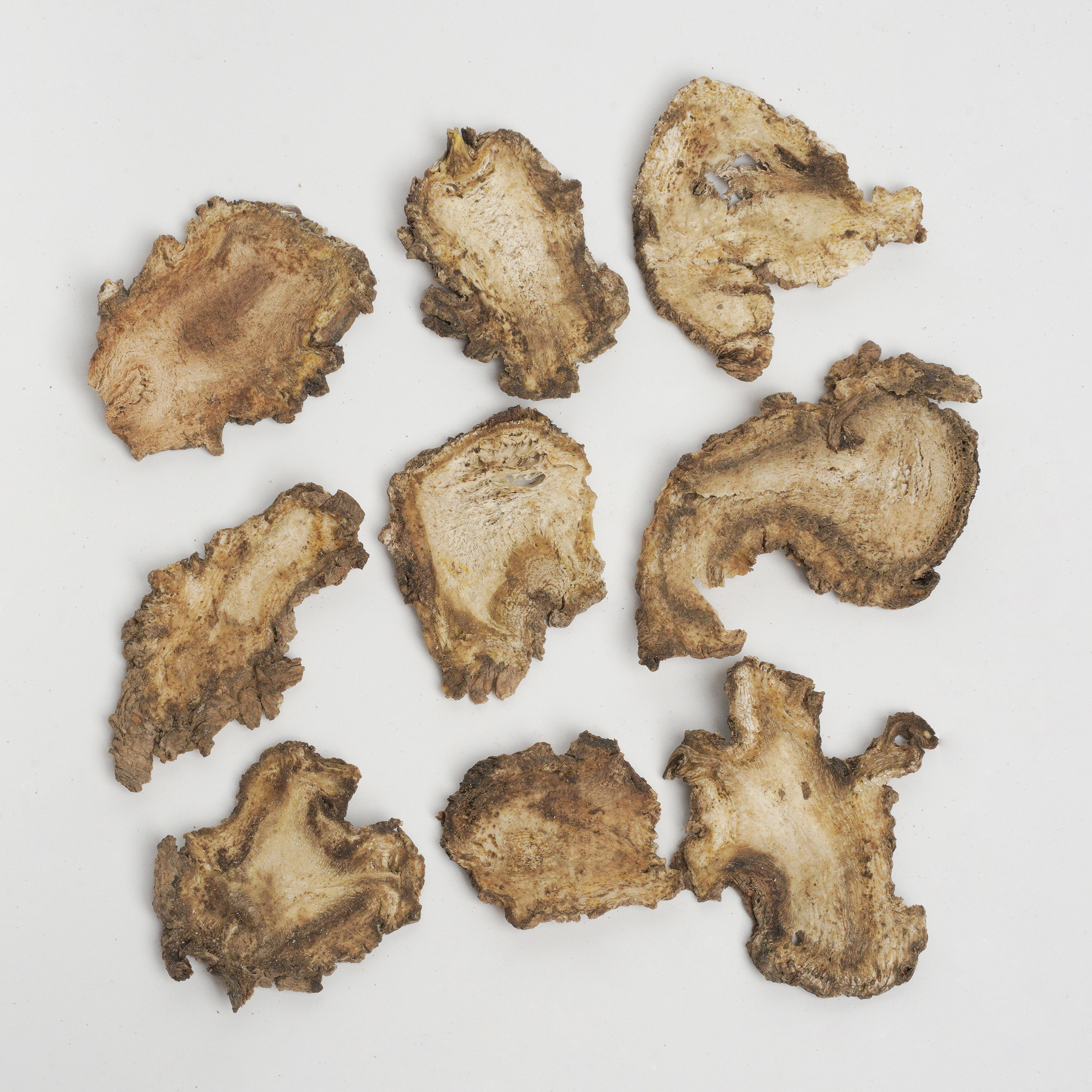 Radix Angelicae Pubescentis
