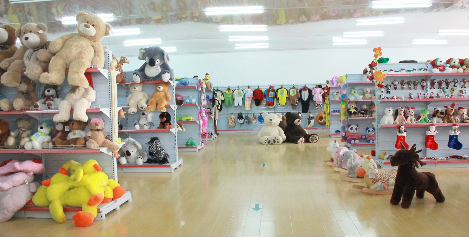 Anhui Dinghui Toys Co., Ltd. – Photos produits 3