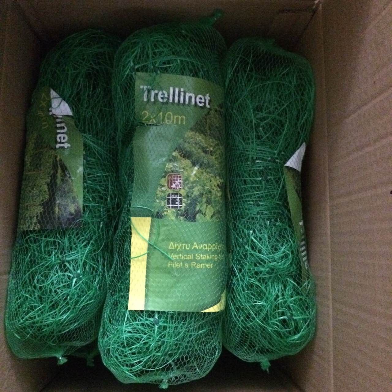 Plant Support Net