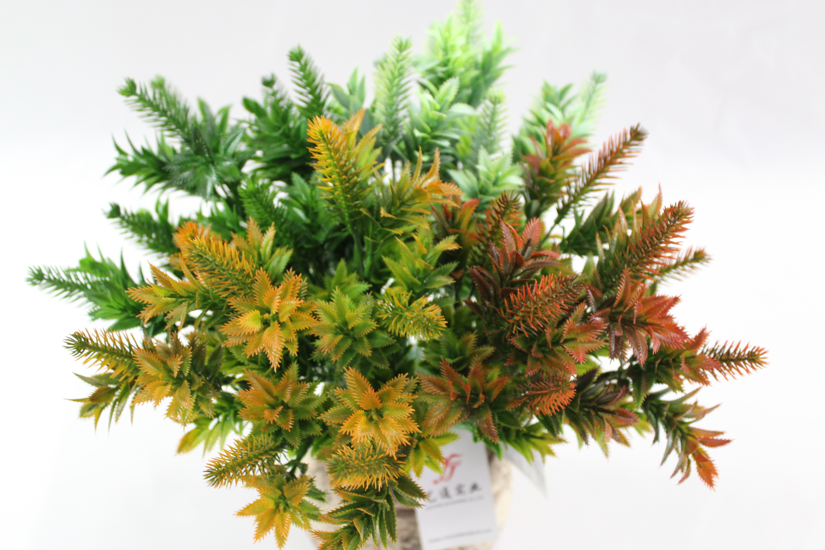 Plastic plant