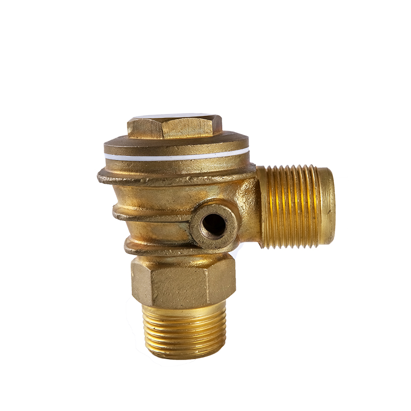 ZHEJIANG CHAOCHAO SAFETY VALVE MANUFACTURING CO.,LTD. – molde de inyección 1