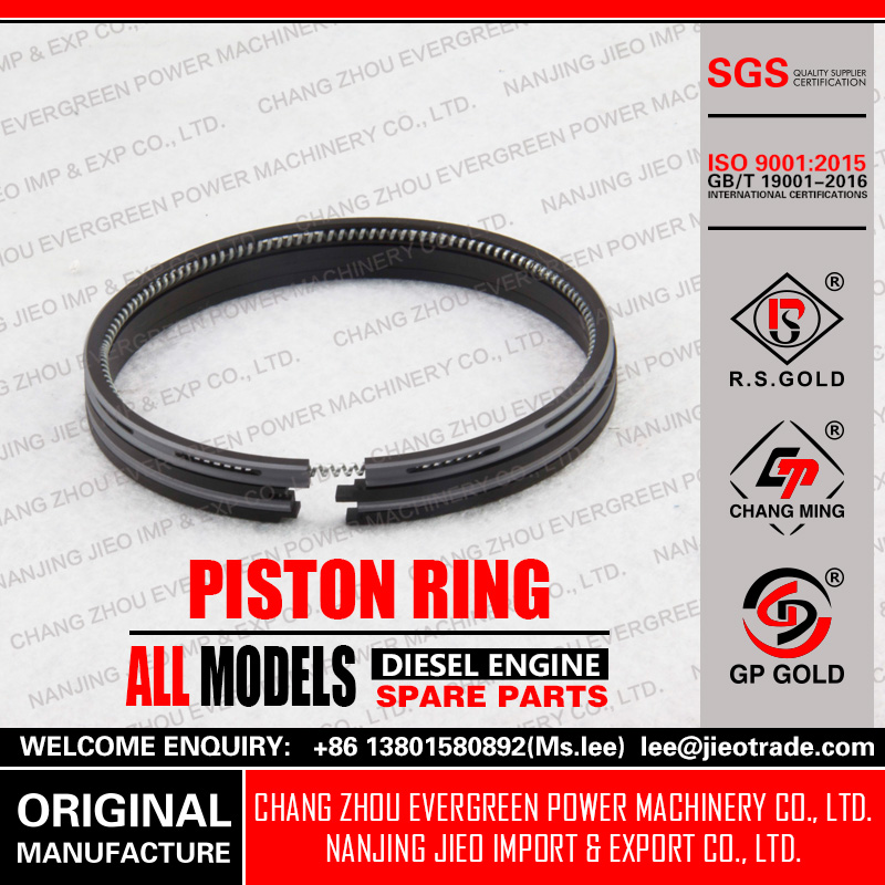 Piston Ring