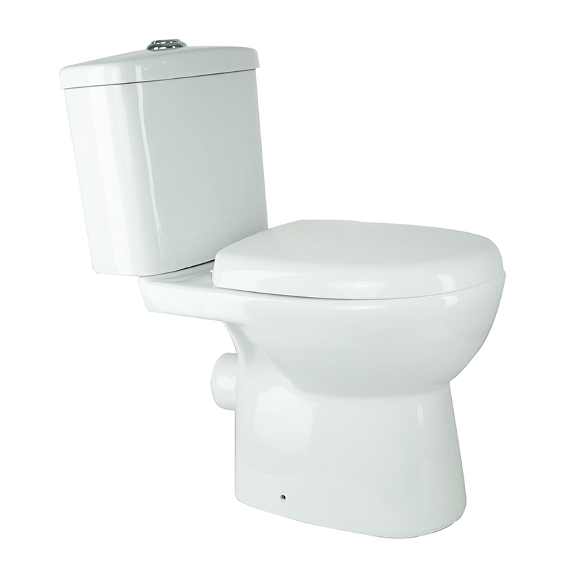 Washdown Two Pcs Toilet Rimless