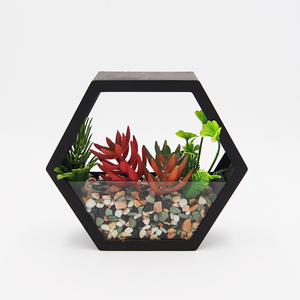 succulent plant plaque