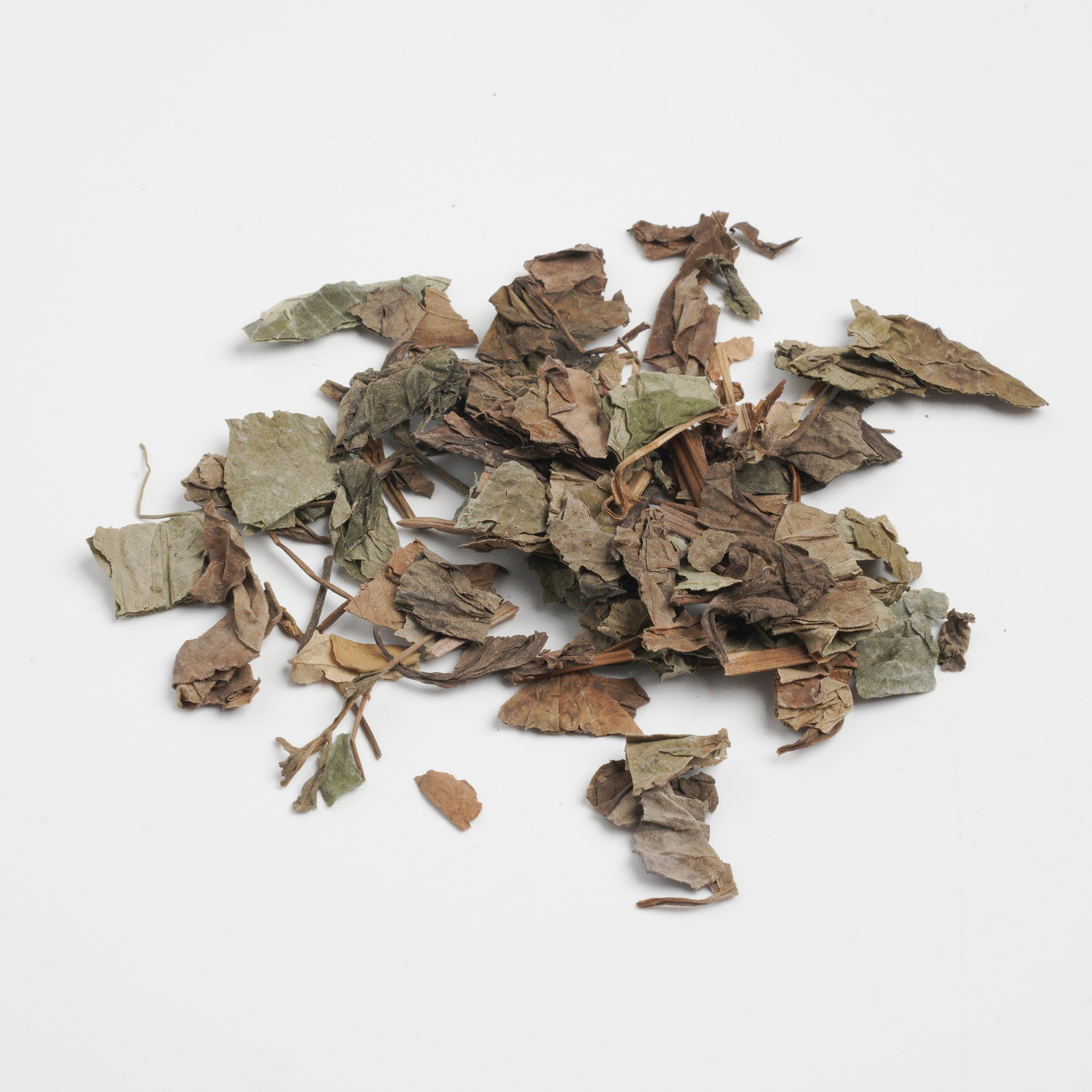 Herba Houttuyniae