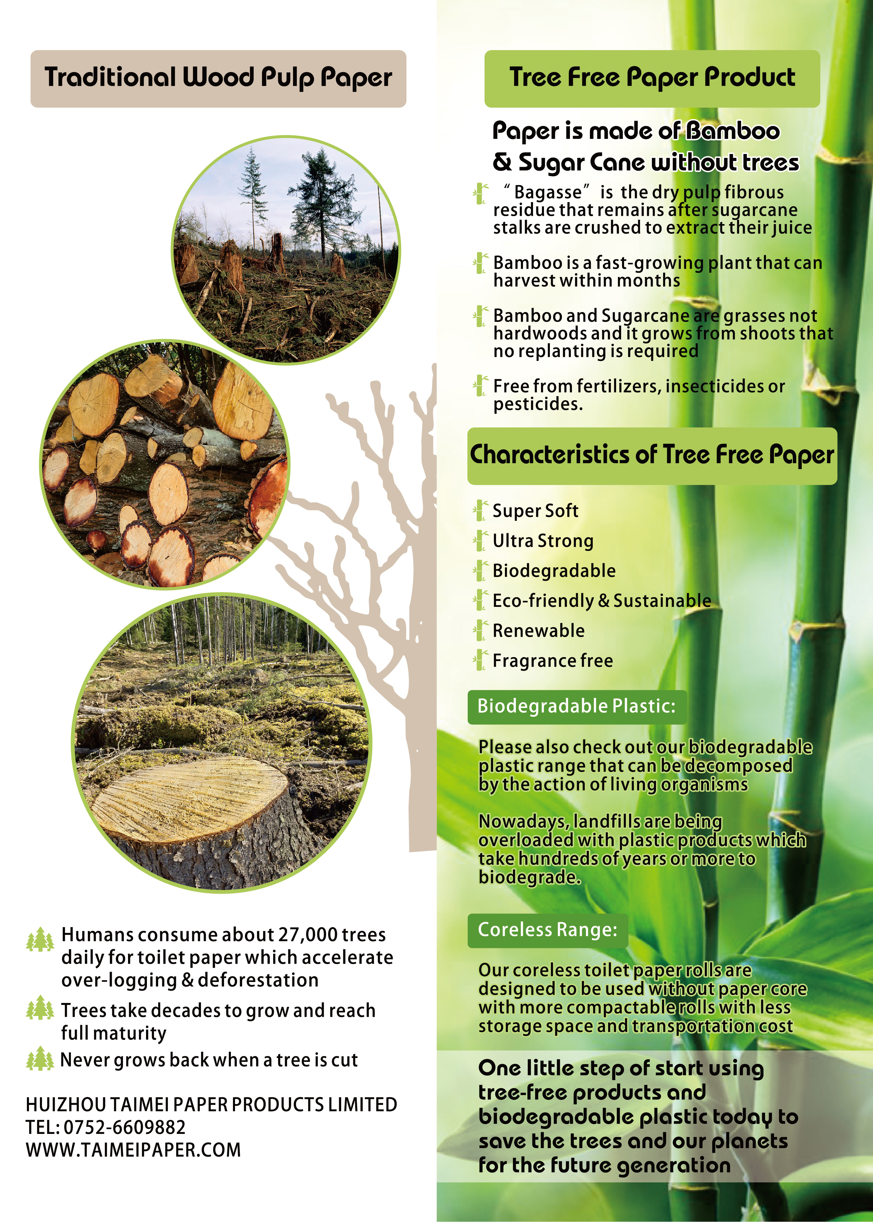 Eco-Friendly Tissue/Environmentally Friendly/Bamboo/Treeless/Eco-Friendly Tissue/Eco-Tissue/Biodegradable Tissue