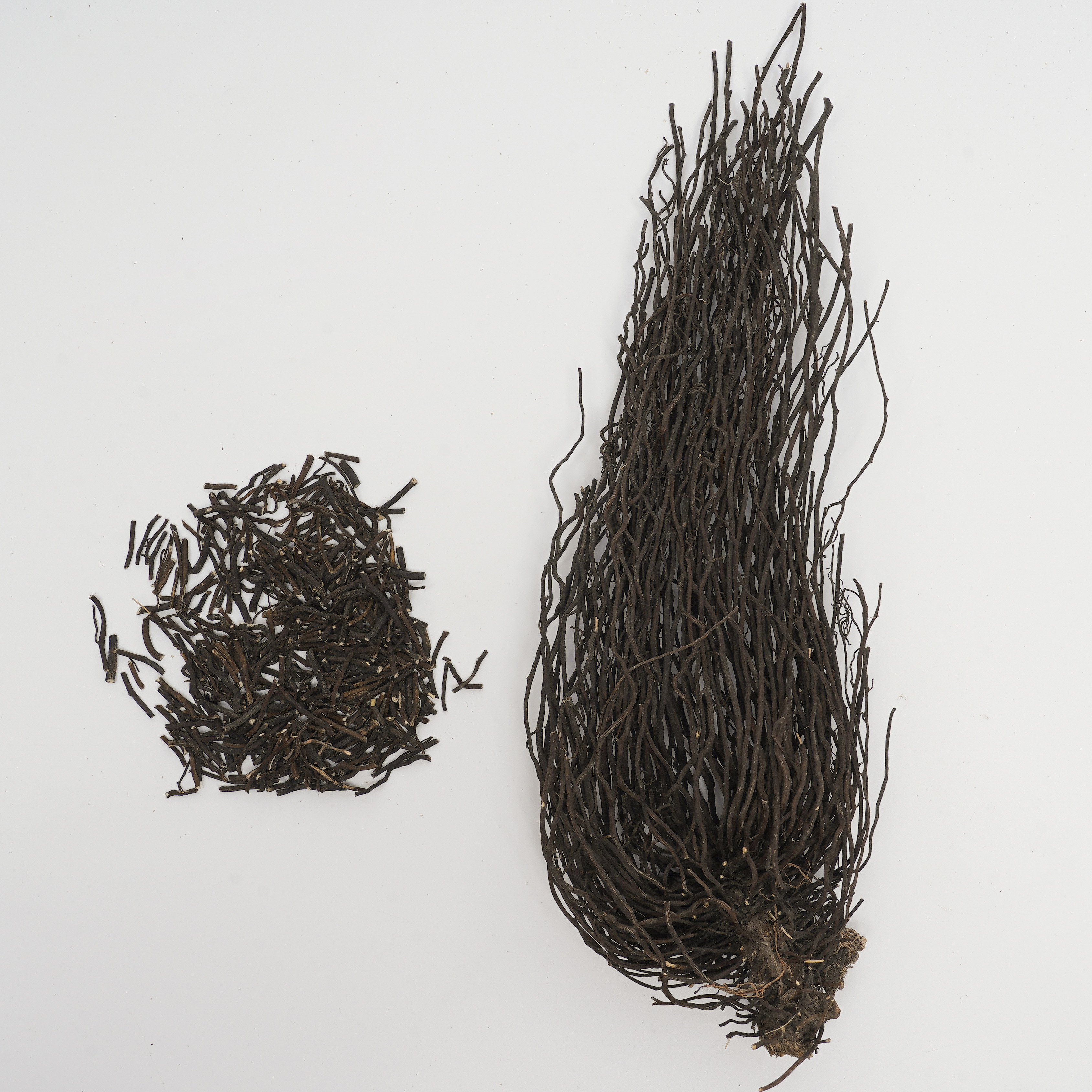 Radix et Rhizoma Clematidis