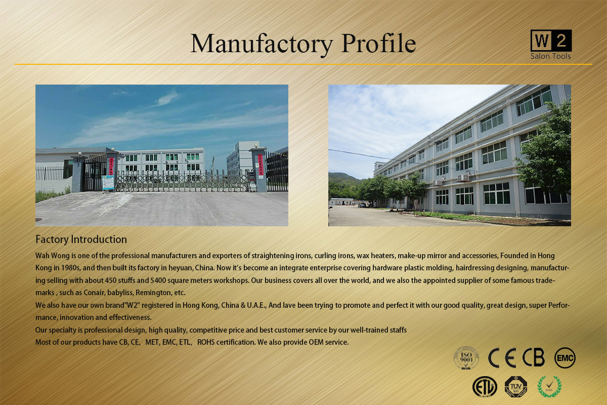 Huahuang Electrical Products (Longchuan) Co., Ltd. – Hair dryer 1