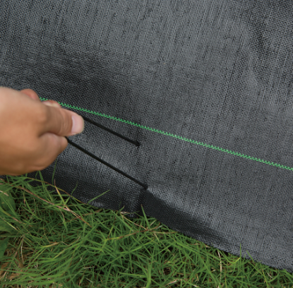 Steel Nail