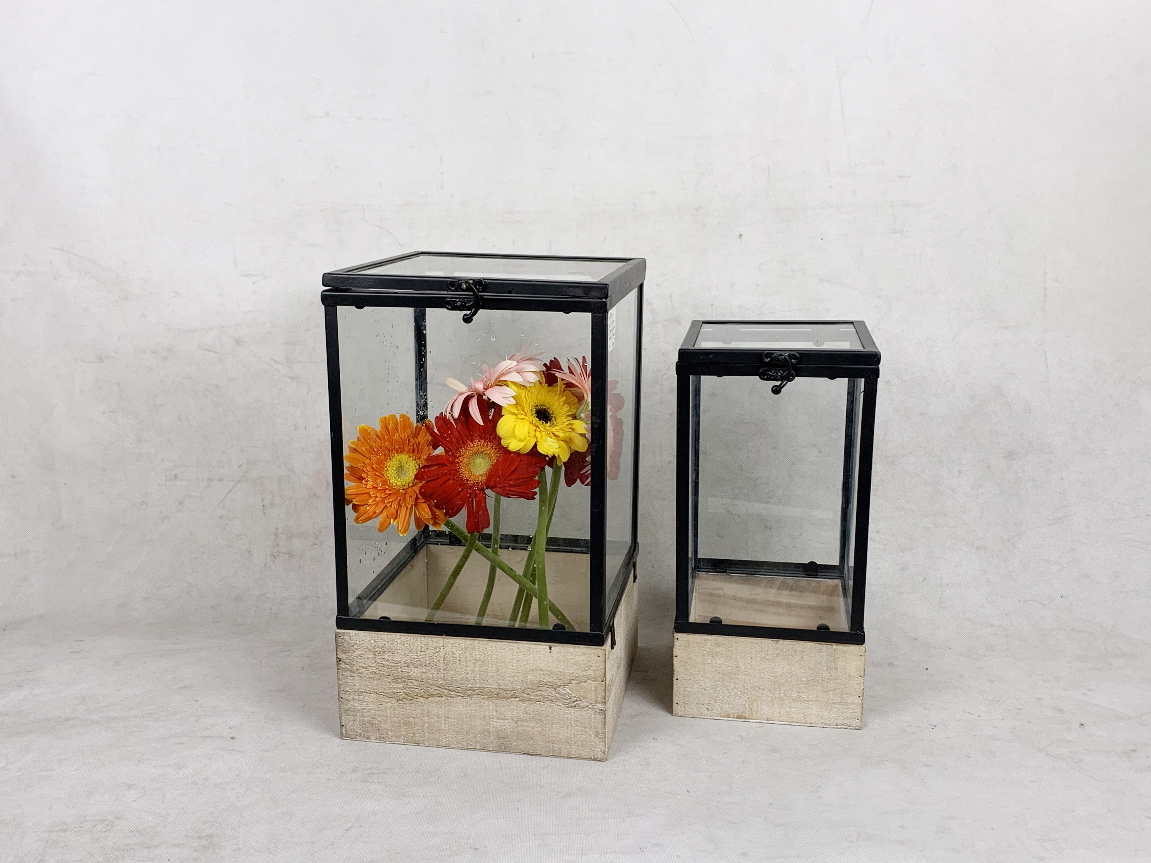 Glass Warmhouse
