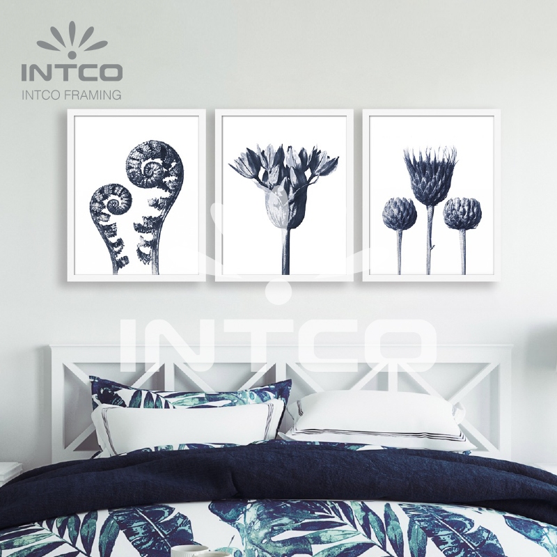 Framed Art Set-Pot Plant