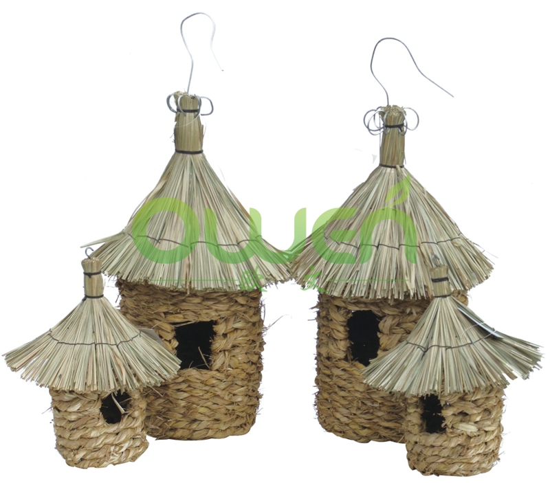Thatch Bird Nest