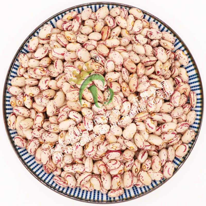 Light Speckled Kidneybeans-American Round Shape