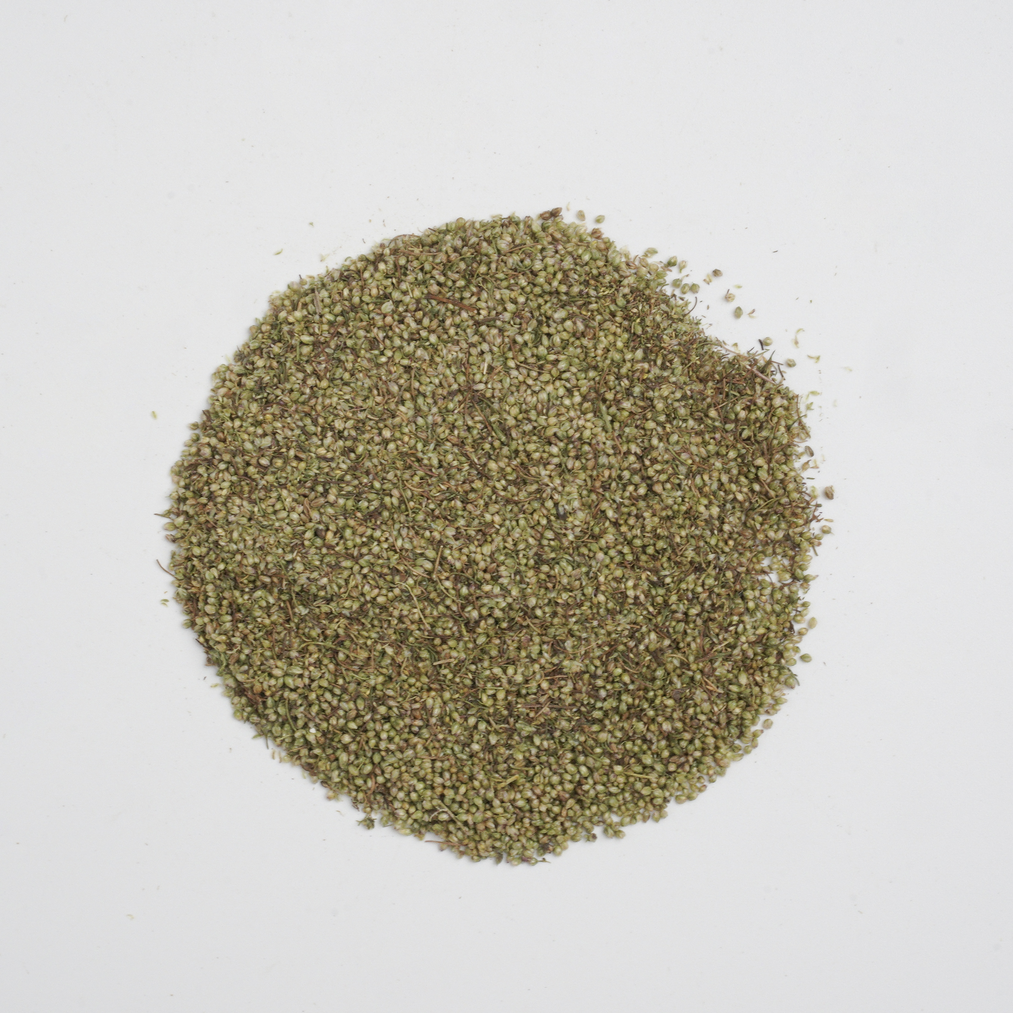 Herba Artemisiae Scopariae