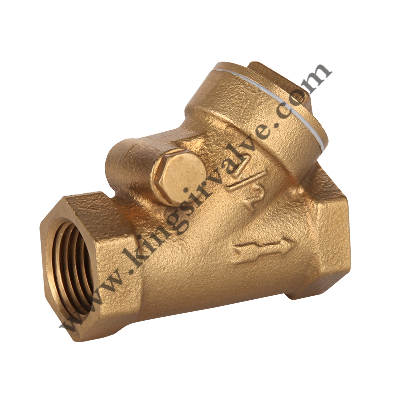 Brass check valve