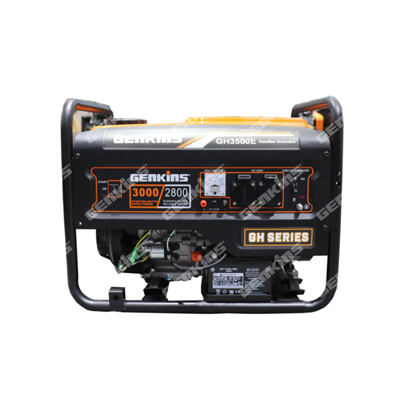 FUZHOU FORESIGHT CO., LTD – Small Gasoline generator 2