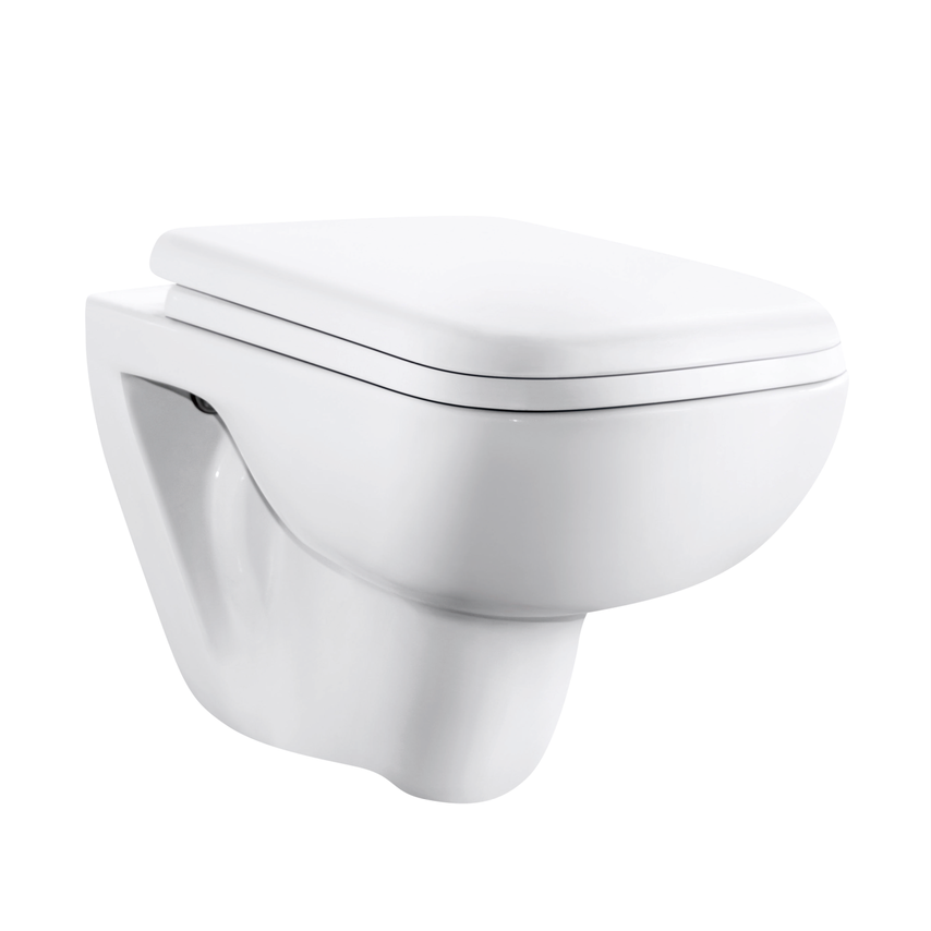 Wall hung toilet