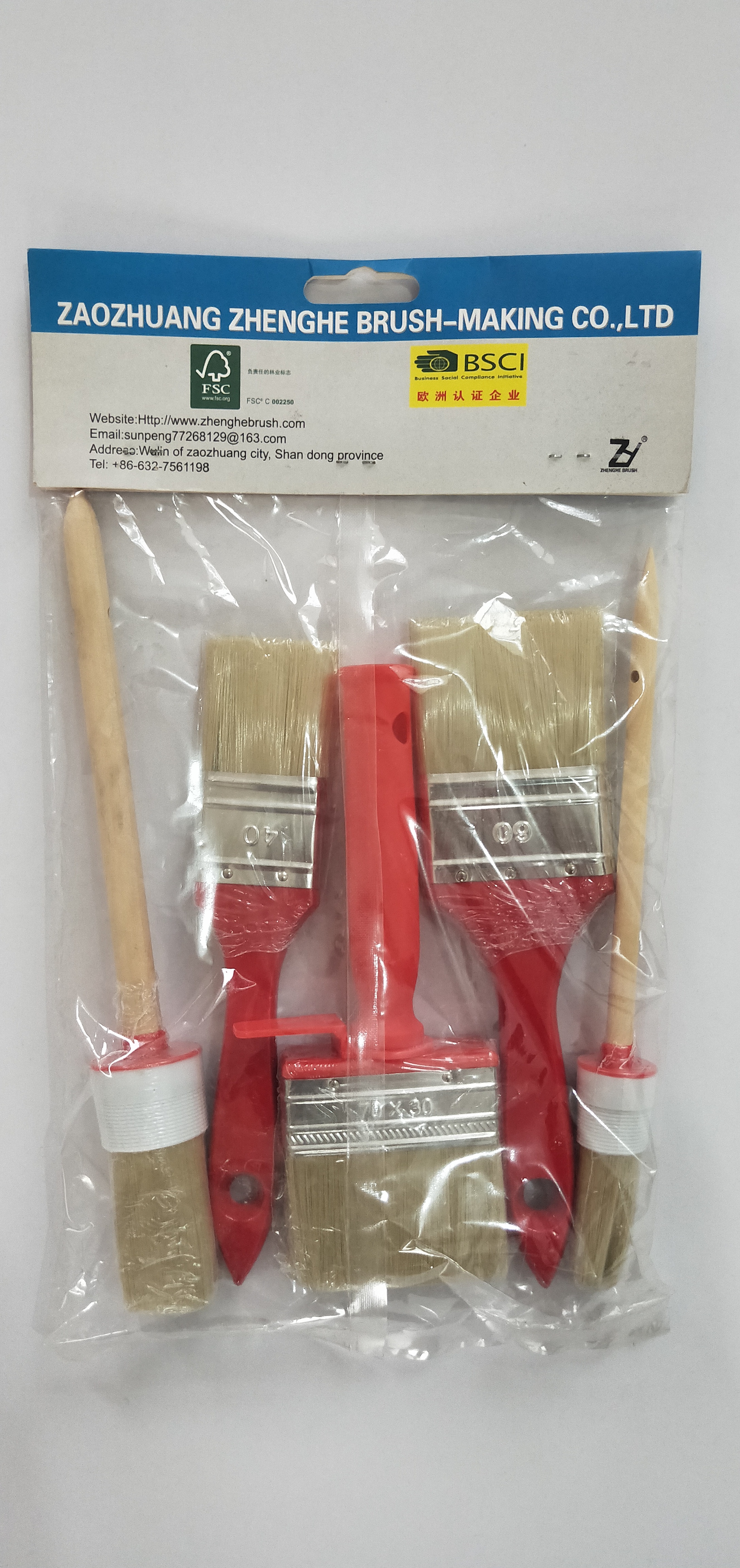 5PCS paint brush set