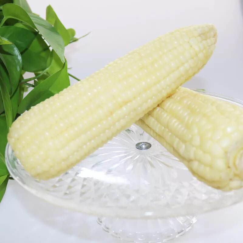 HE BEI WAN HUA TIAN BAO FOOD CO.,LTD – colchoneta de yoga 4