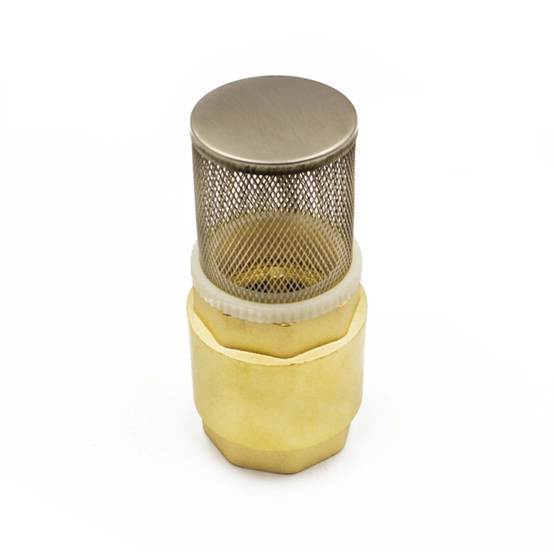 Foot valve with plastic core