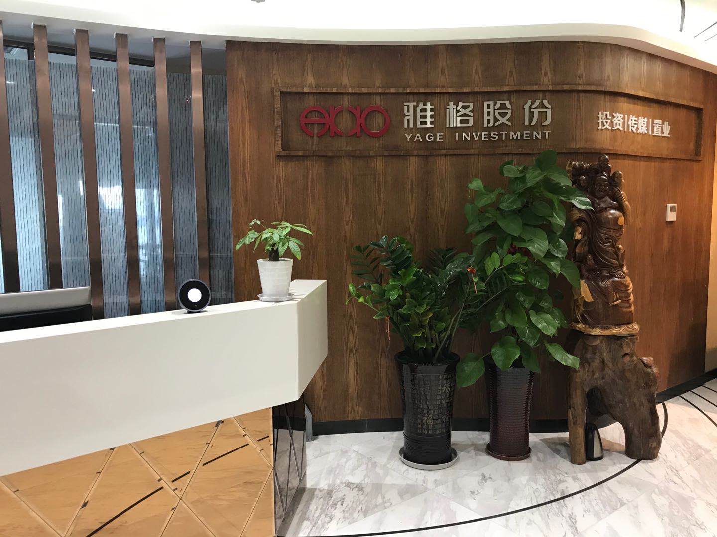 Yage (Xiamen) Investment Co., Ltd. – Women's skirts 1