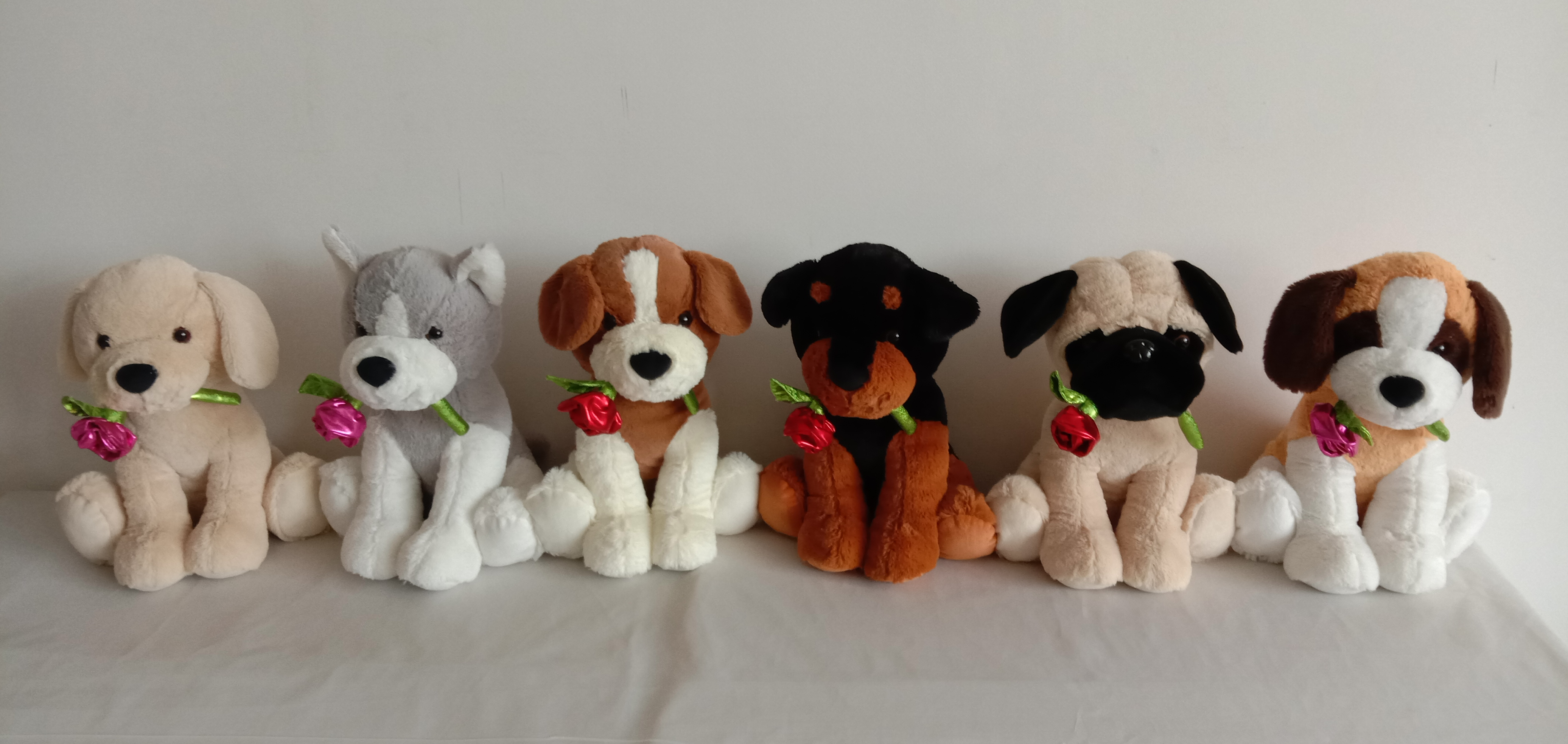 Dogs w/ rose