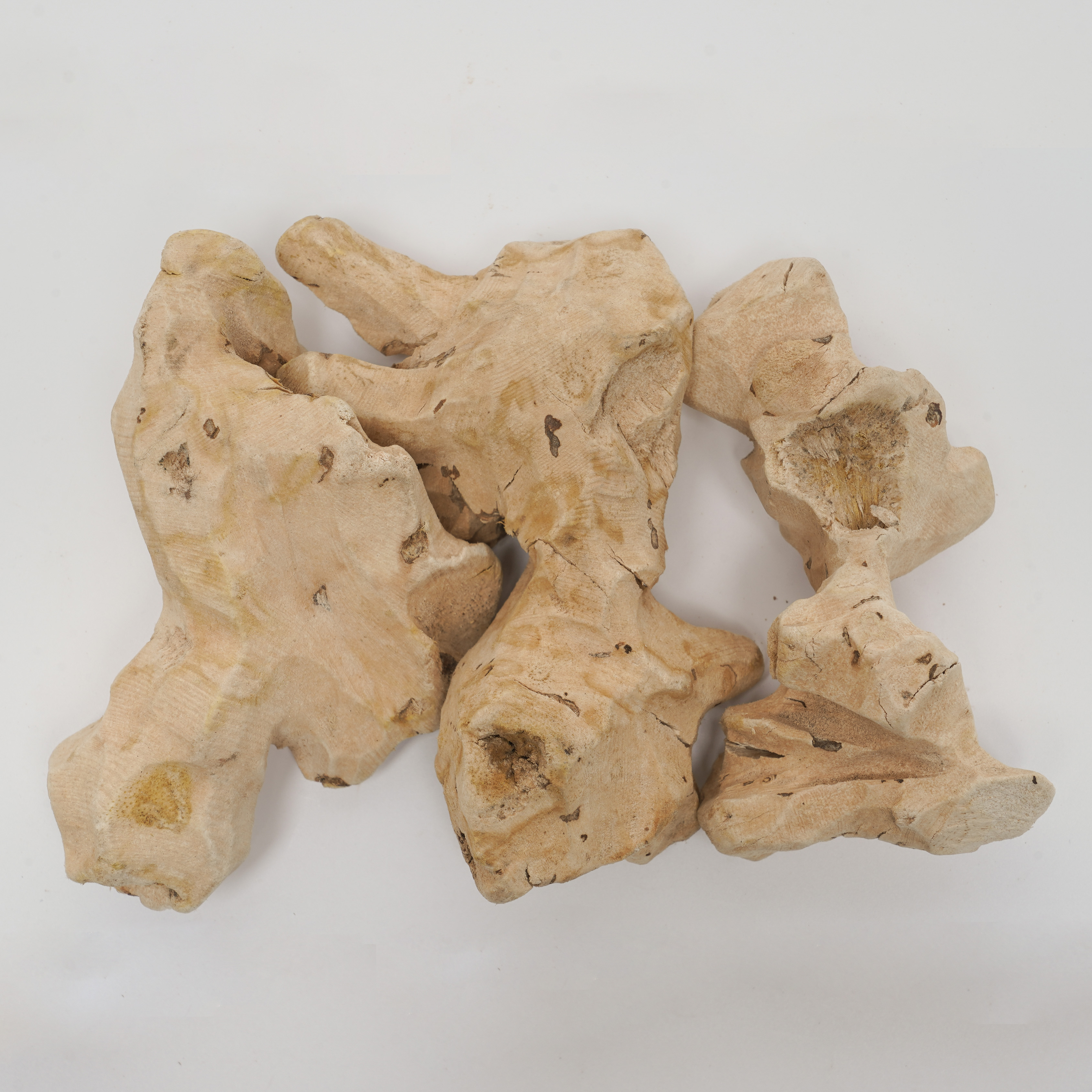 Rhizoma Samilacis Glabrae/China root