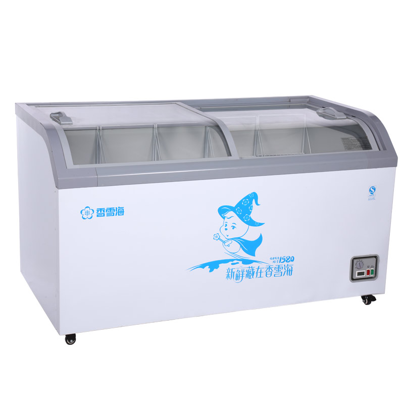 Snowsea Ice Cream Freezer-Sd-505z