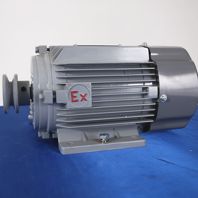 Explosion proof motor