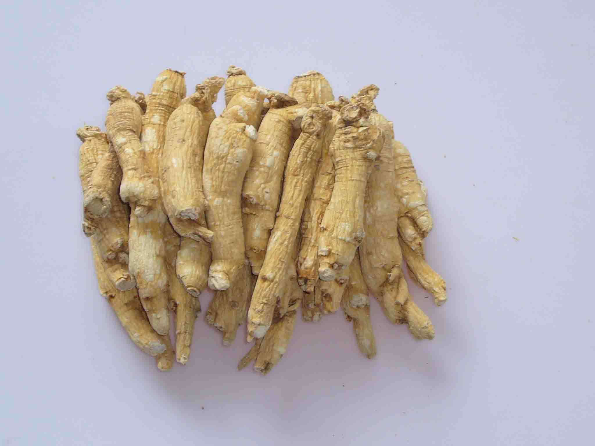 Ginseng