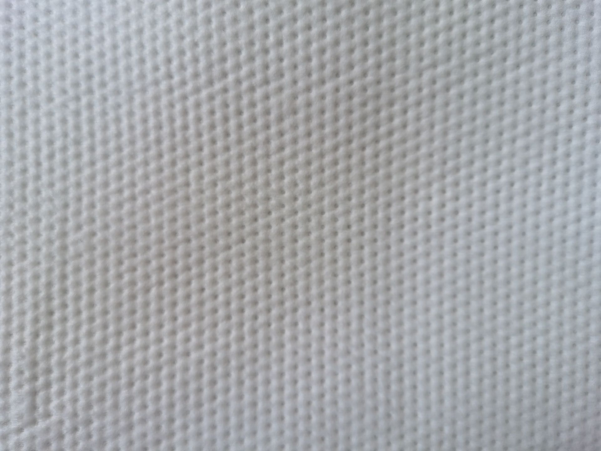 Dotted embossed pet pad