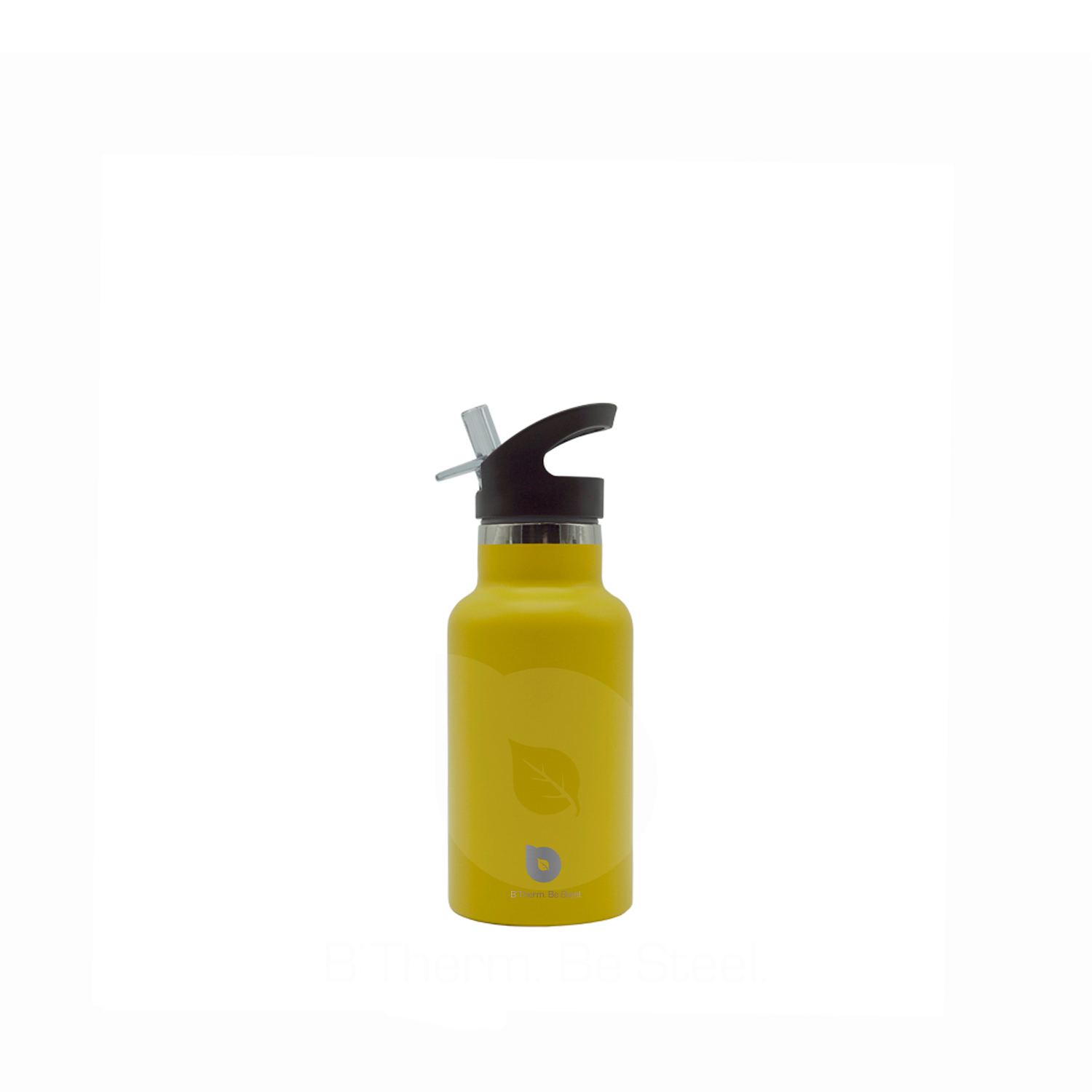 Stainless Steel Vacuum Insulated Sport Water Bottle 350 ml 12 oz
