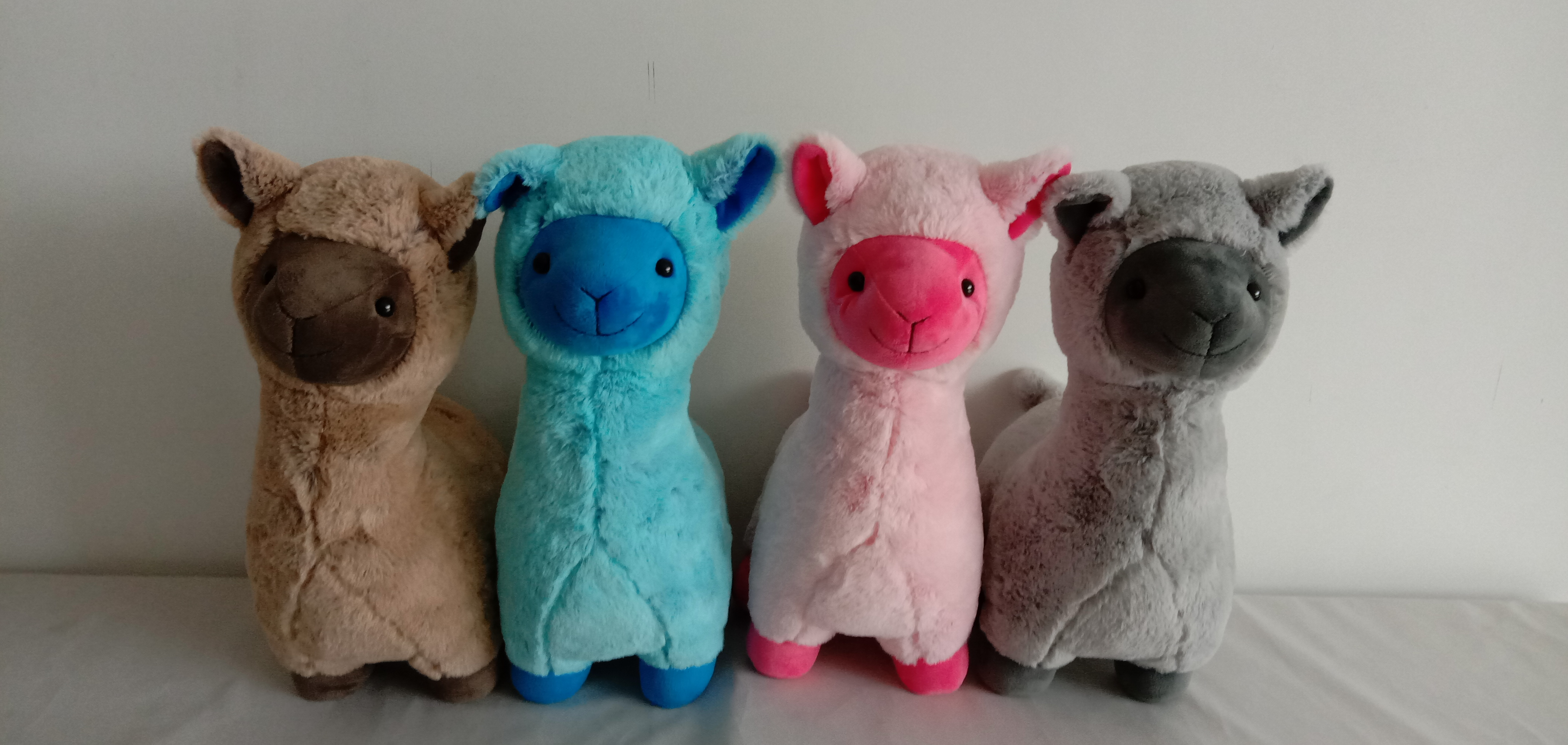 Llama