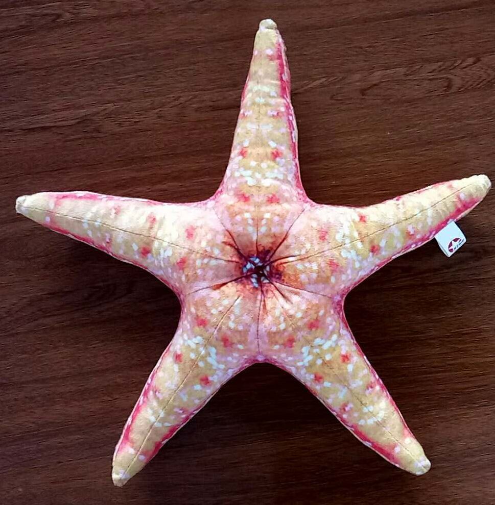 Starfish