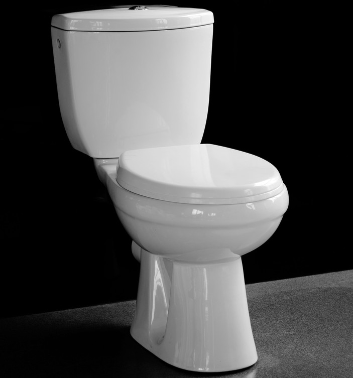 Popular Two Piece Toilet