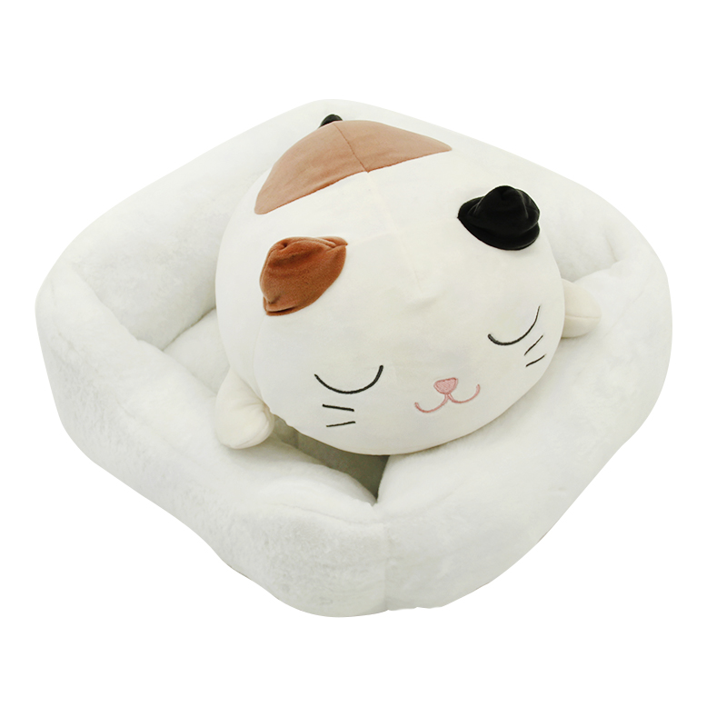 Pet house with removable mat